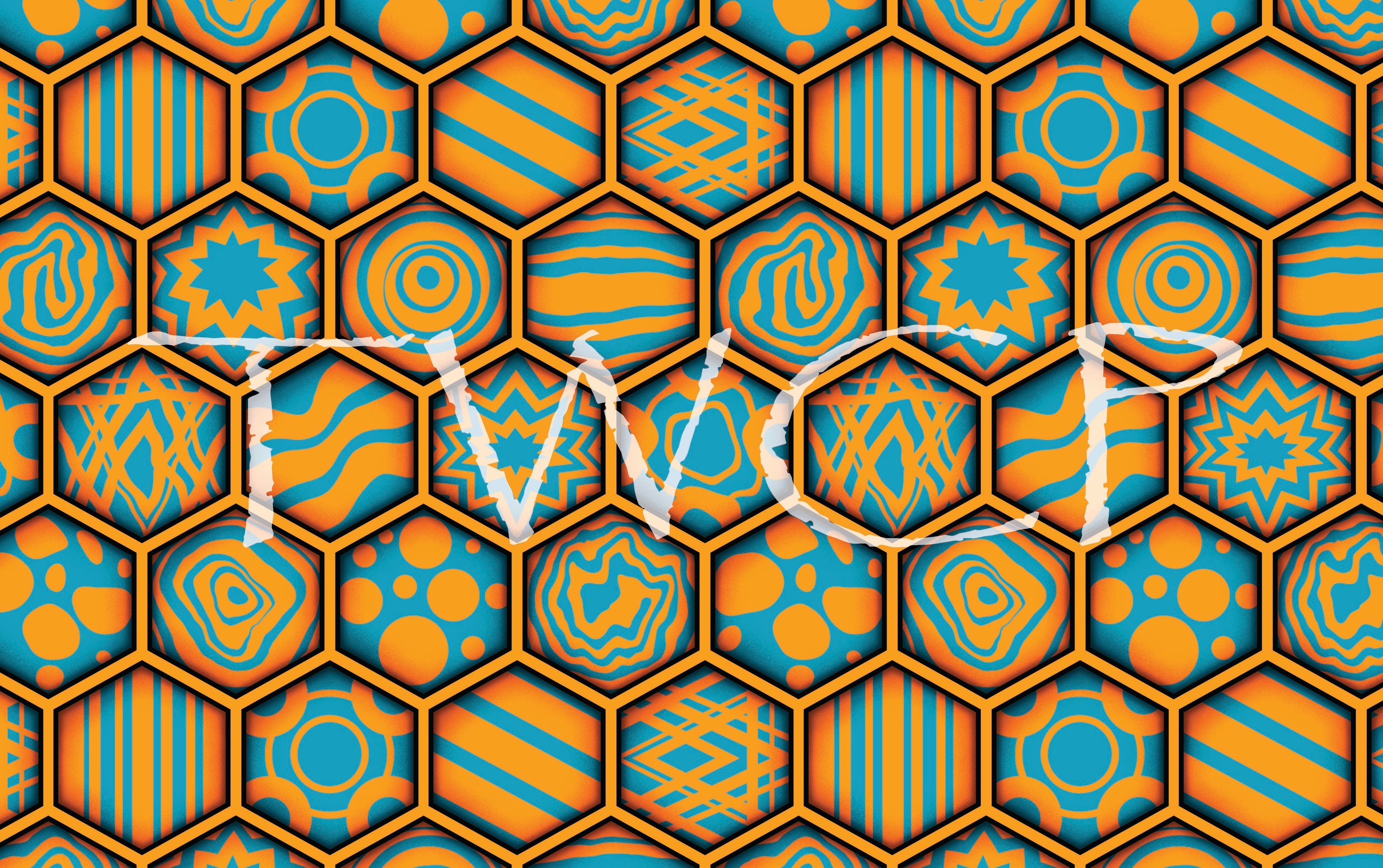 Anima Defessus - Astra Beehive Orange