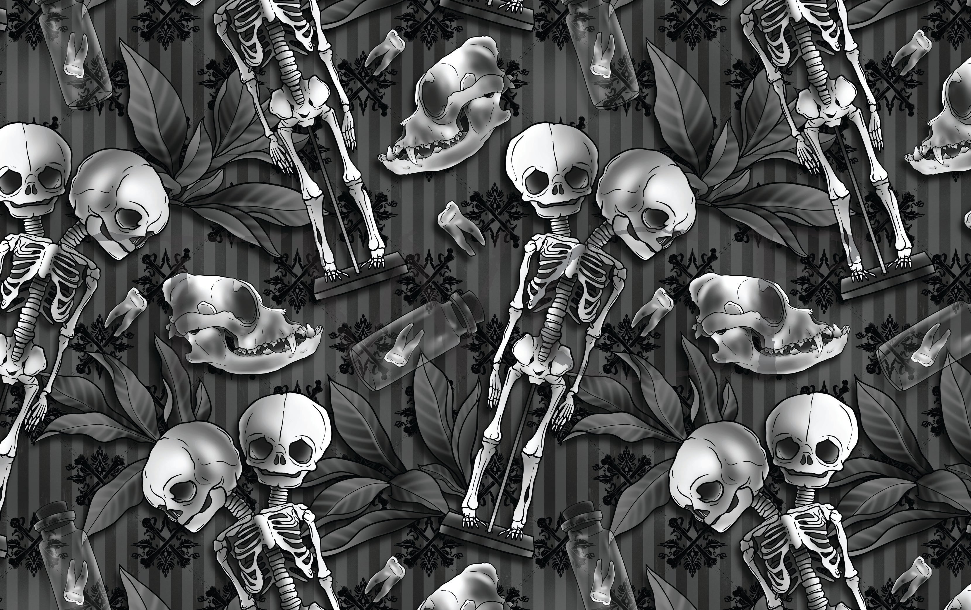 Anima Defessus - Cabinet of Curiosities V5 Grey