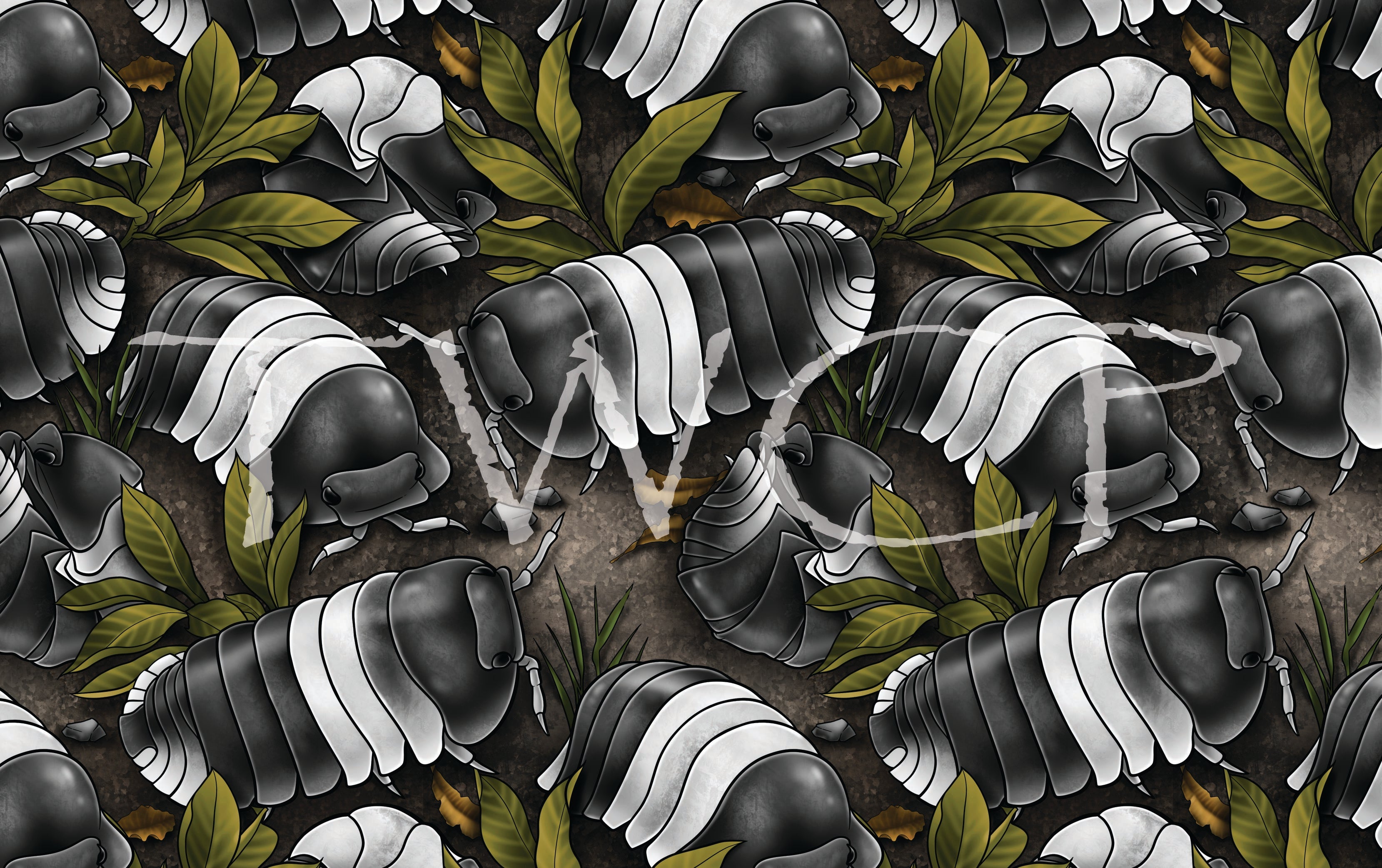 Anima Defessus - Cubaris Isopods Panda Kings Vivarium