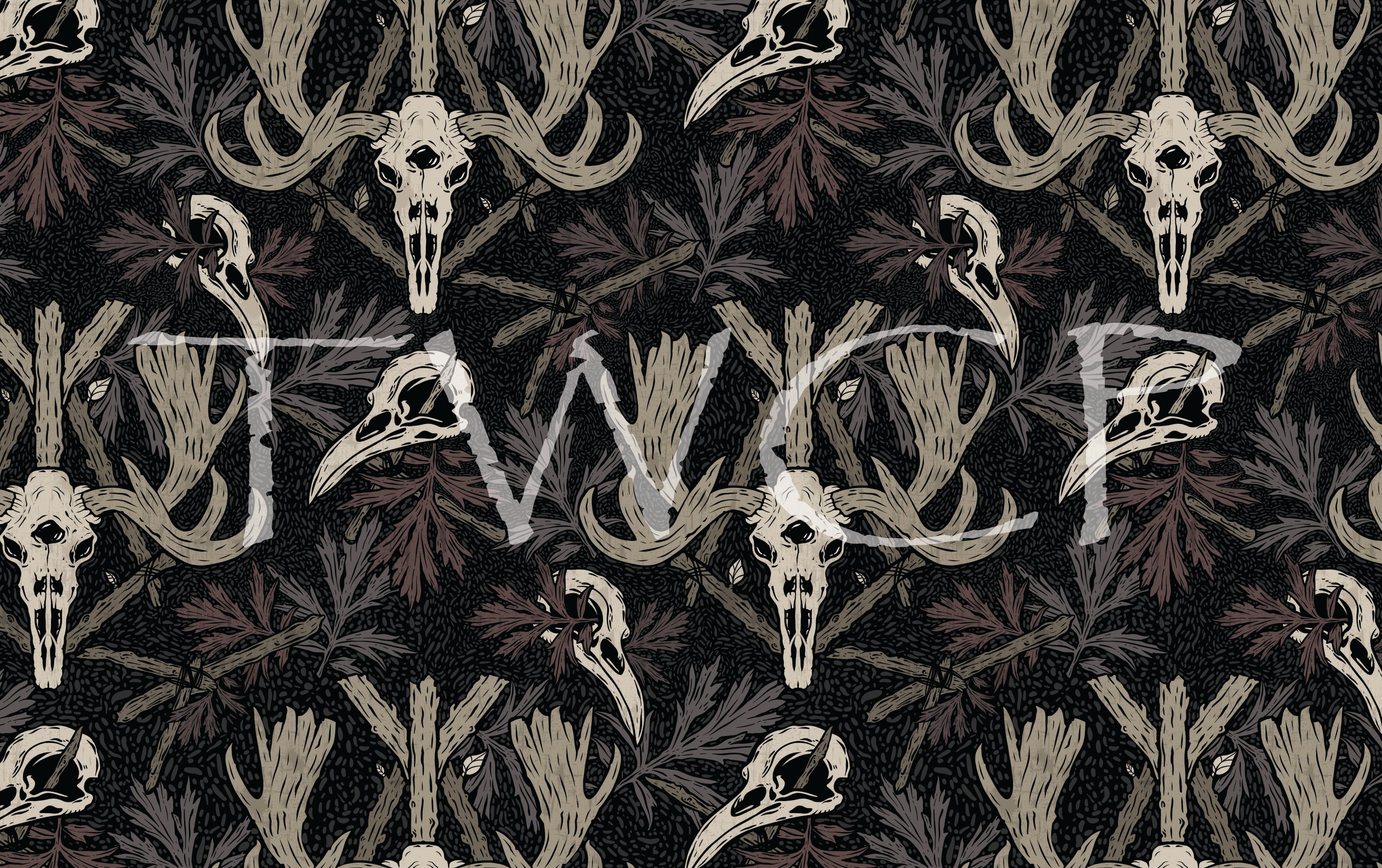 Anima Defessus - The Protector