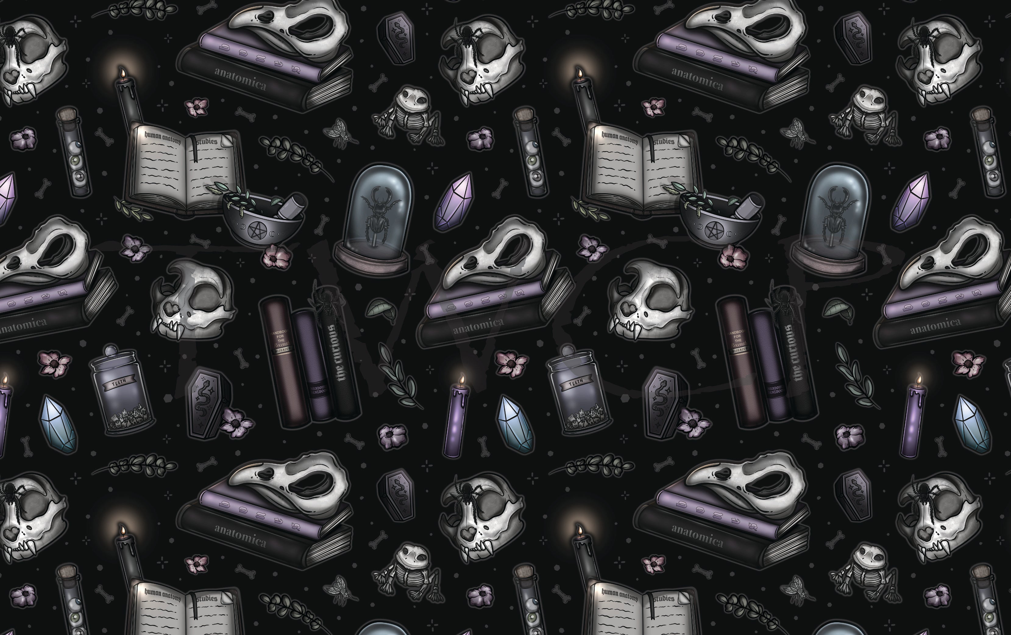 Love, Kyr - Anatomy Curio Black