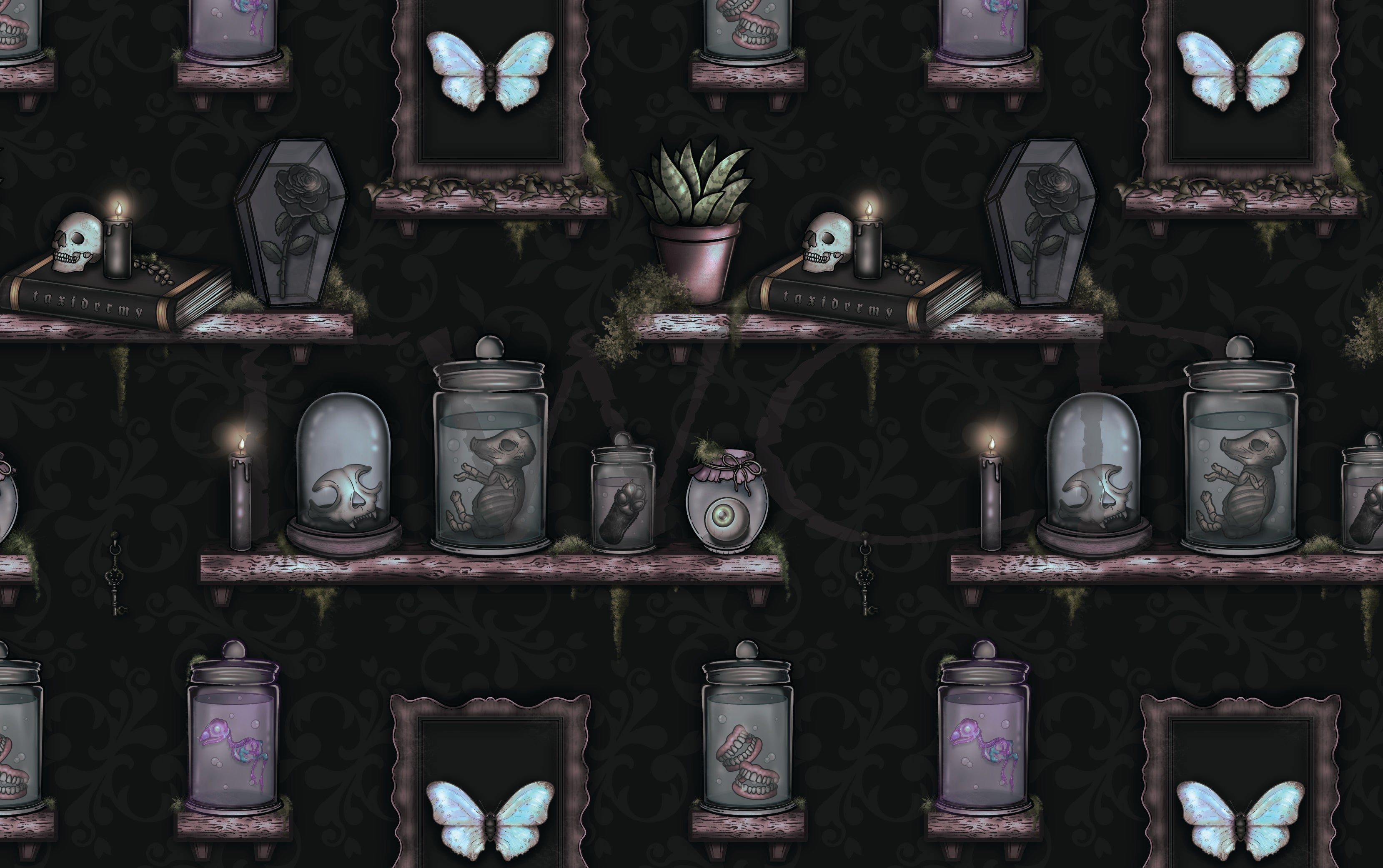 Love, Kyr - Oddities Shelves Gothic Wallpaper Black